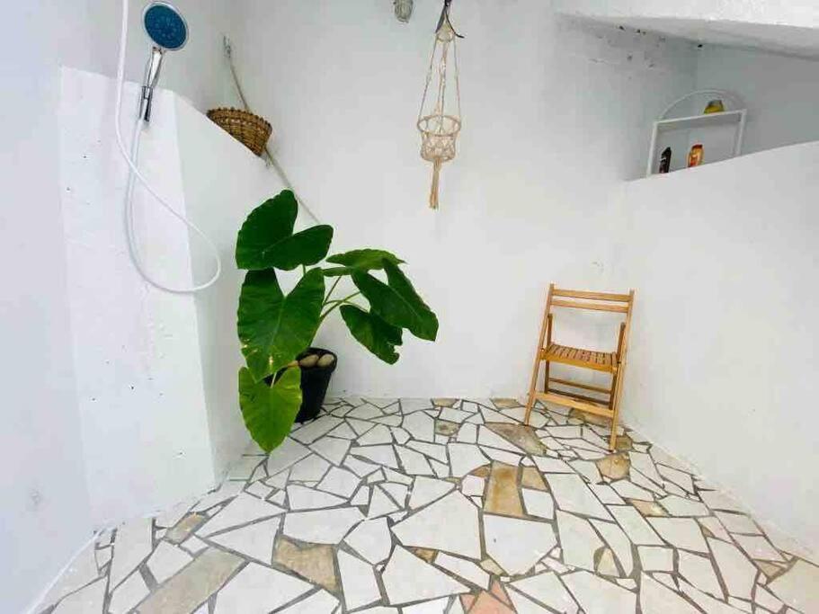 Apartament Habitation Nala Proche Bourg Terre-De-Haut Zewnętrze zdjęcie